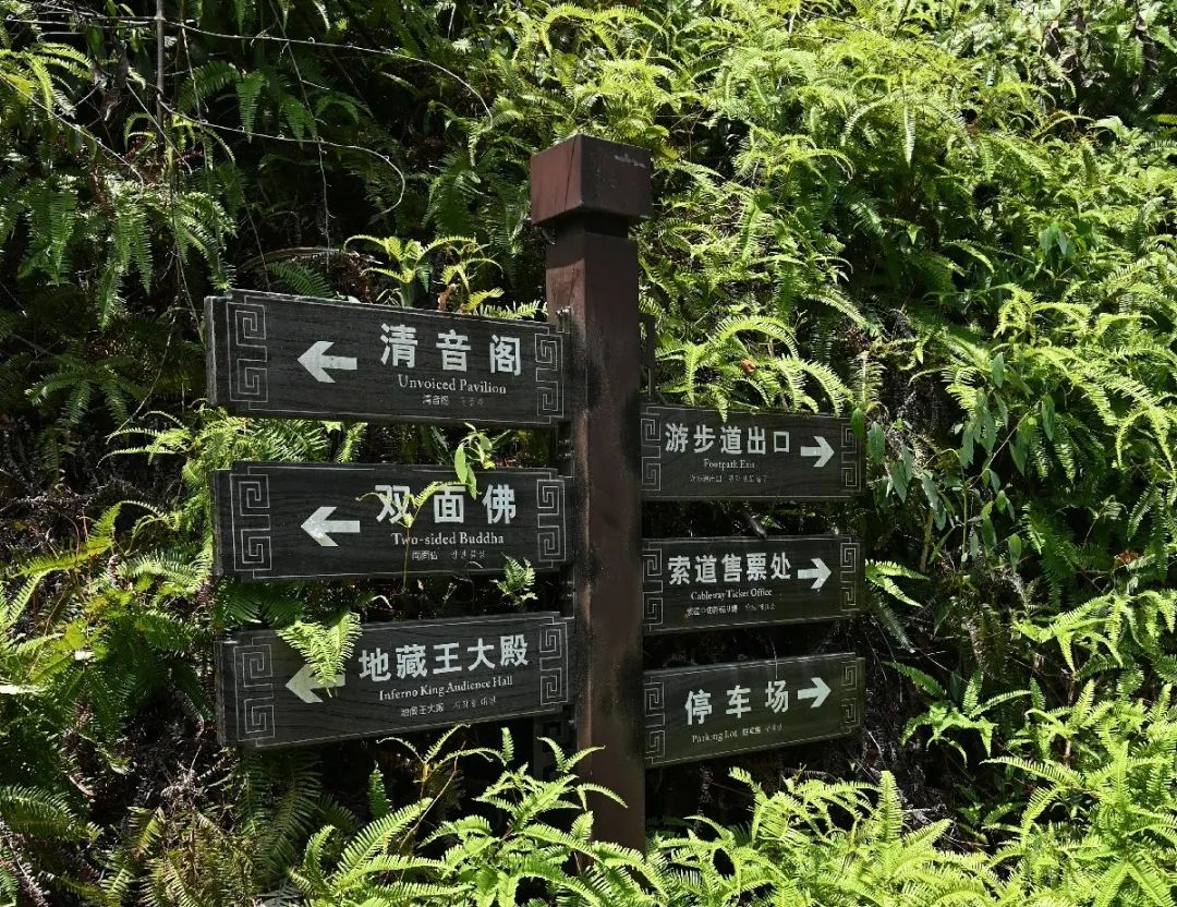 他们看上去有点软(建德游记一 | 大慈岩 | 江南悬空寺)