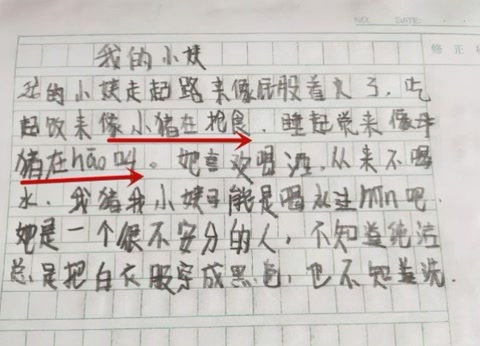 《我的小姨》一片小学生作文