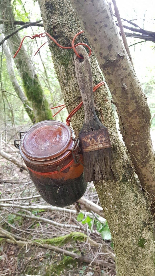 17张奇怪的照片，看起来很是诡异，网友们指出了它们的实质