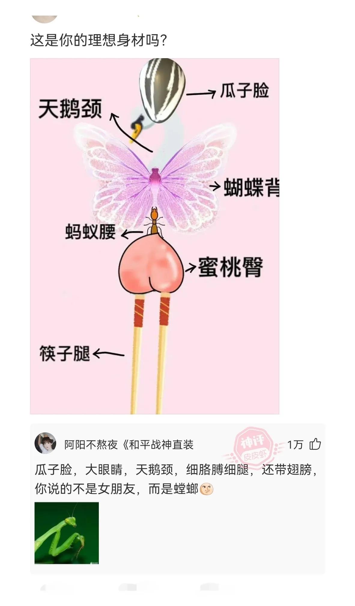 朋友拍了拍我的de(朋友拍了拍我的de后面写什么恶搞)-娱乐资讯网 朋友拍了拍我的(朋友you拍了拍我的后面写什么恶搞)-娱乐资讯网