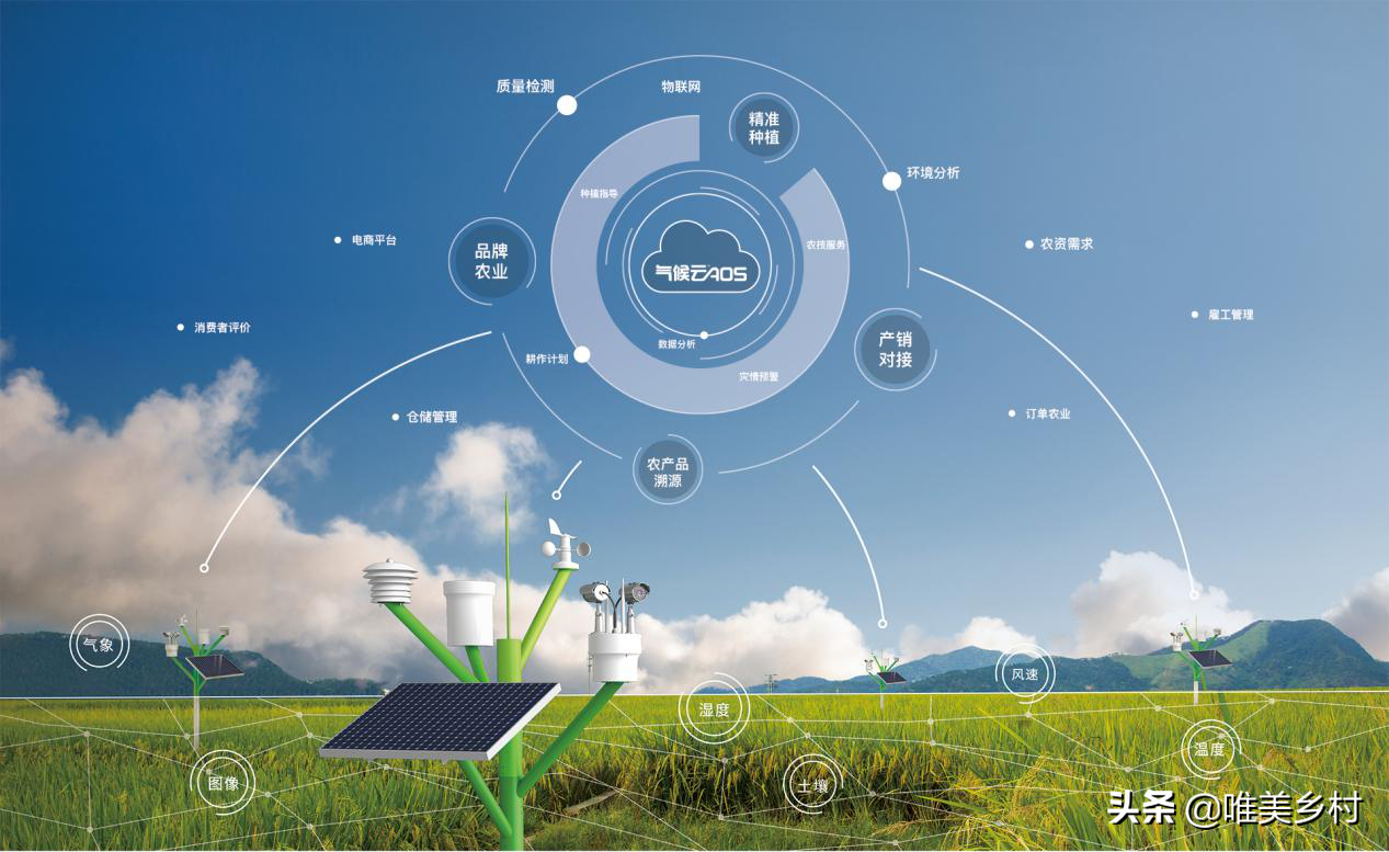 农业农村现代化，数字赋能、三大方向驱动，增势蓄能带来新机遇？