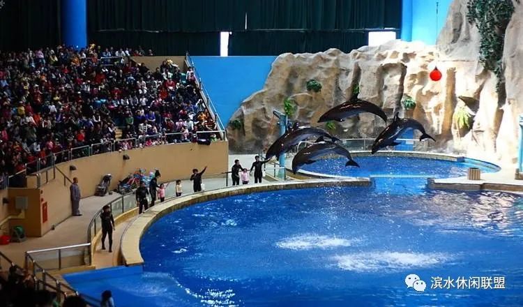 我国海洋水族馆发展现状