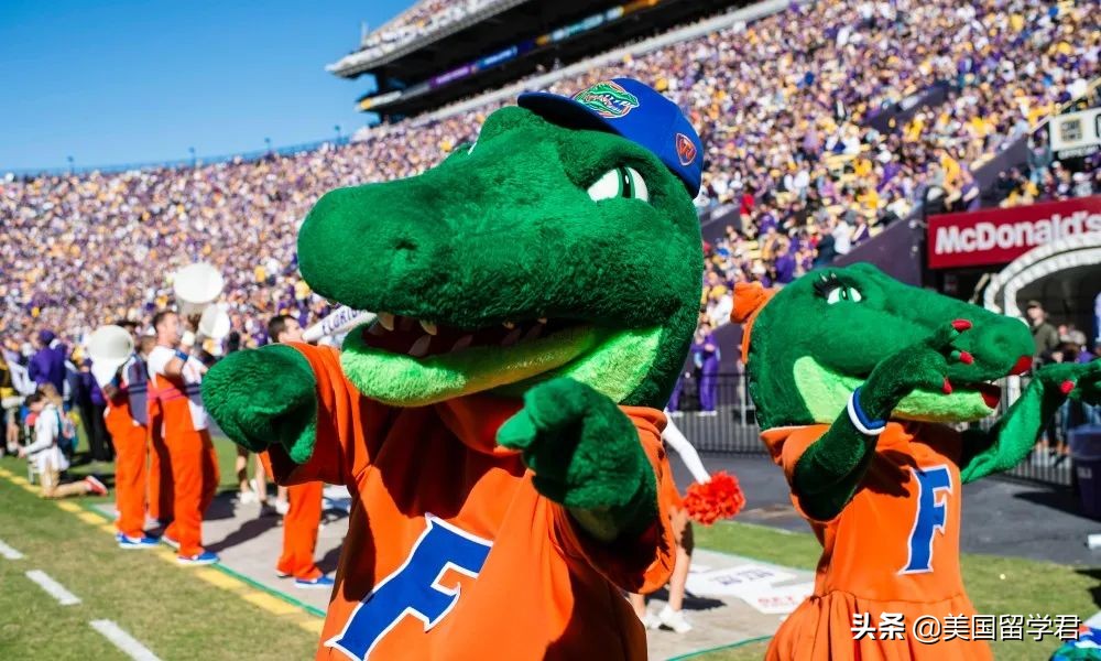 同样排名28，这6所美国大学有何区别？