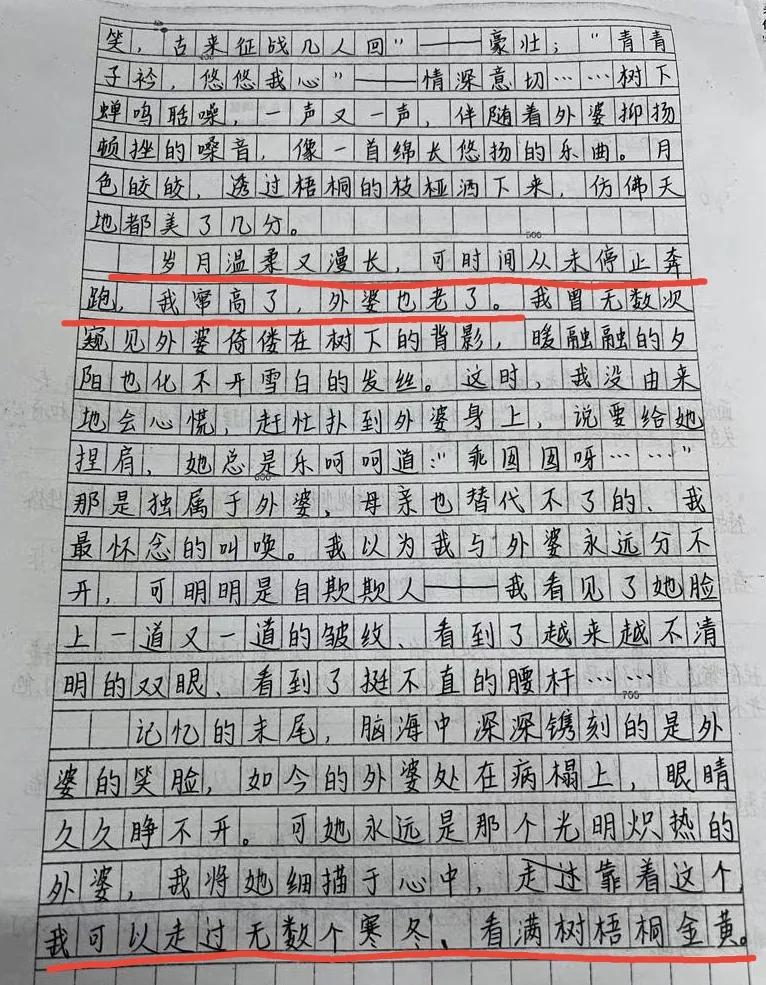 满分作文《有你相伴》，全篇无一“爱”字，却表达了浓浓的爱意