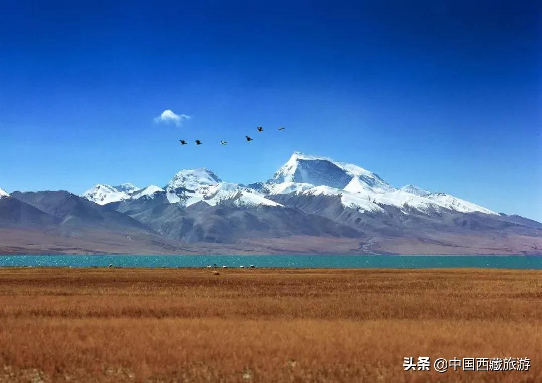 等一个人，陪我去阿里！
