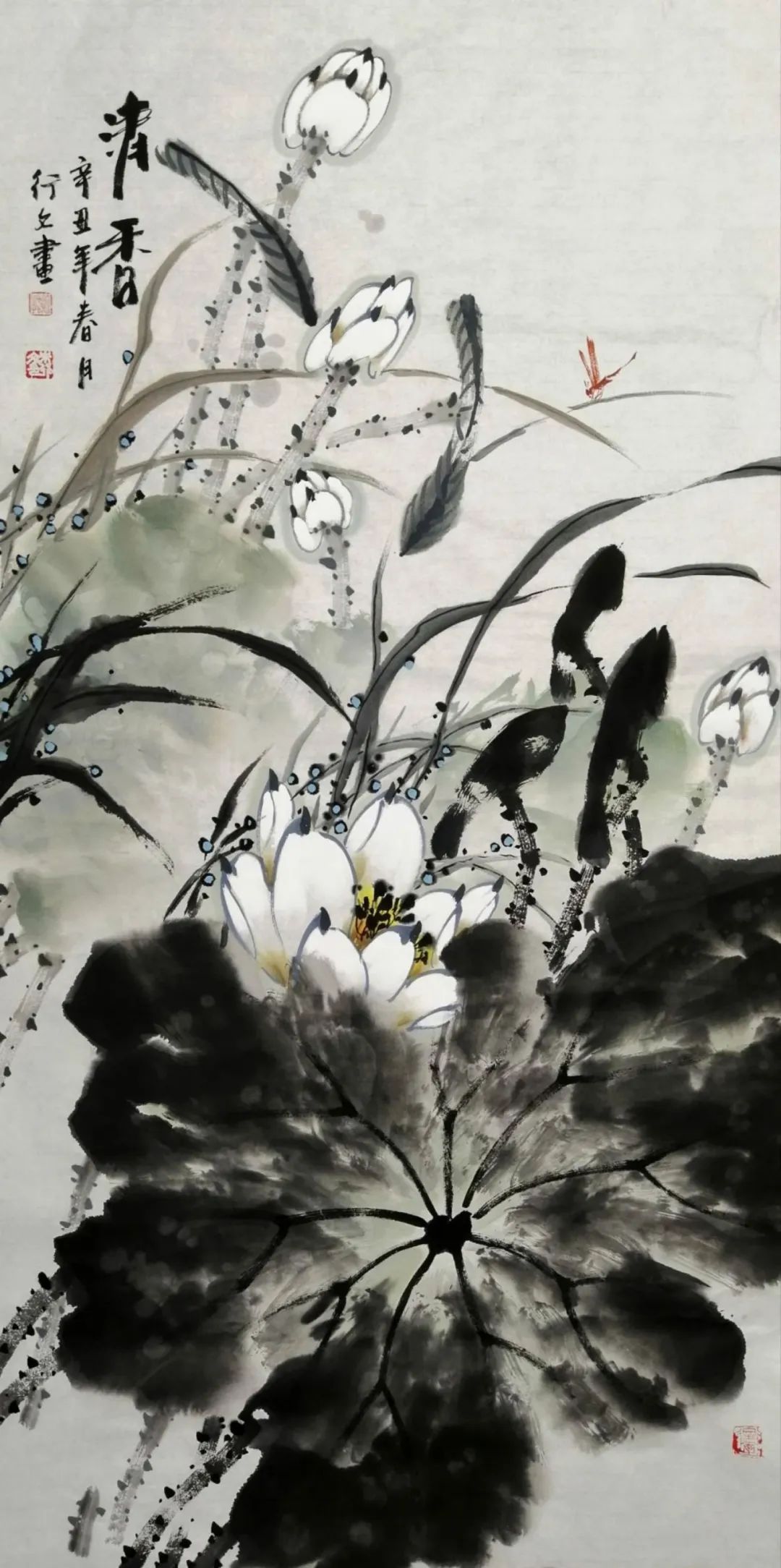 ��ʻ��ŷ� ���϶��컯��������������������Ʒ����