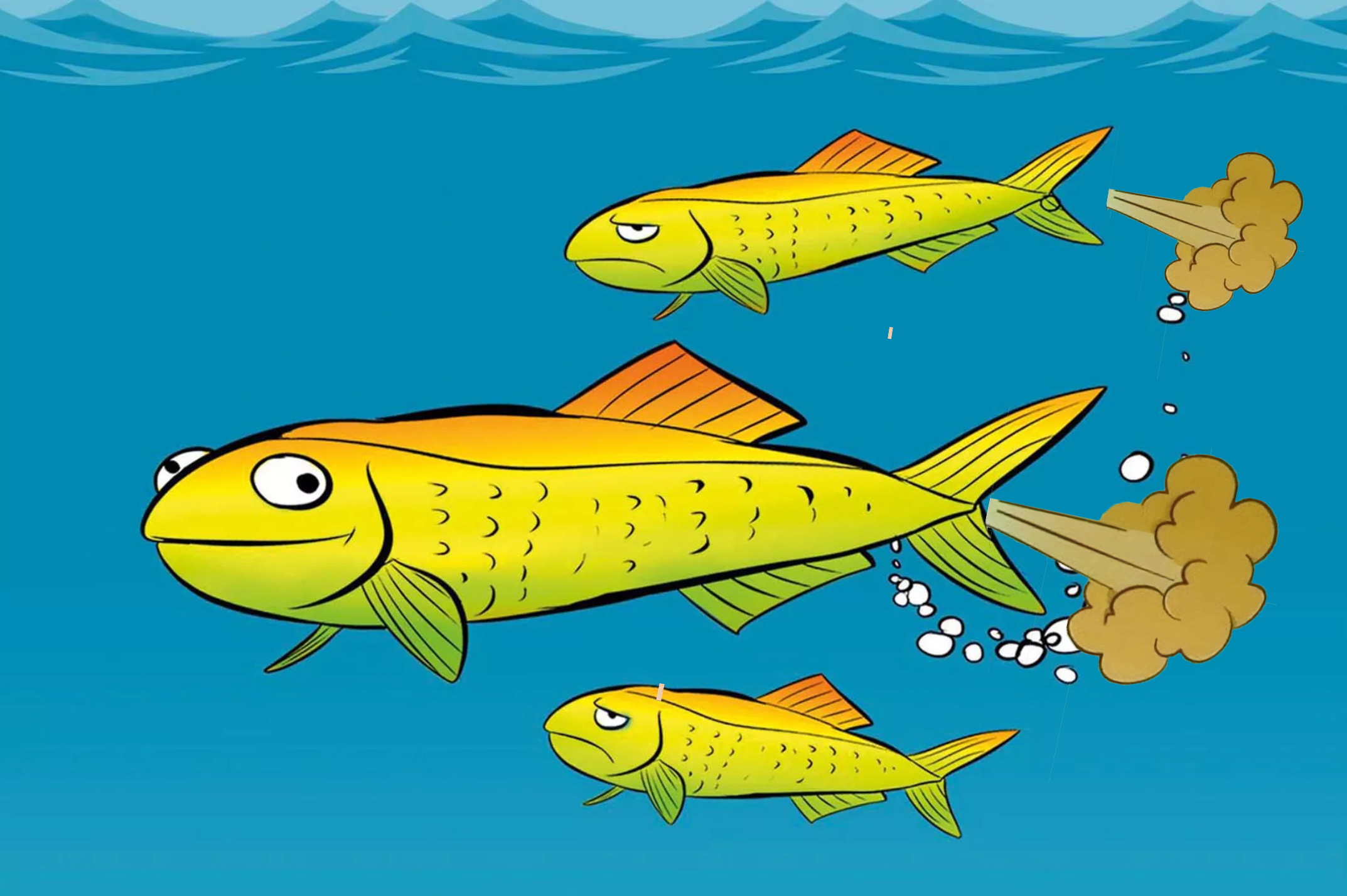 鲱鱼罐头为什么这么臭 鲱鱼罐头的正确吃法