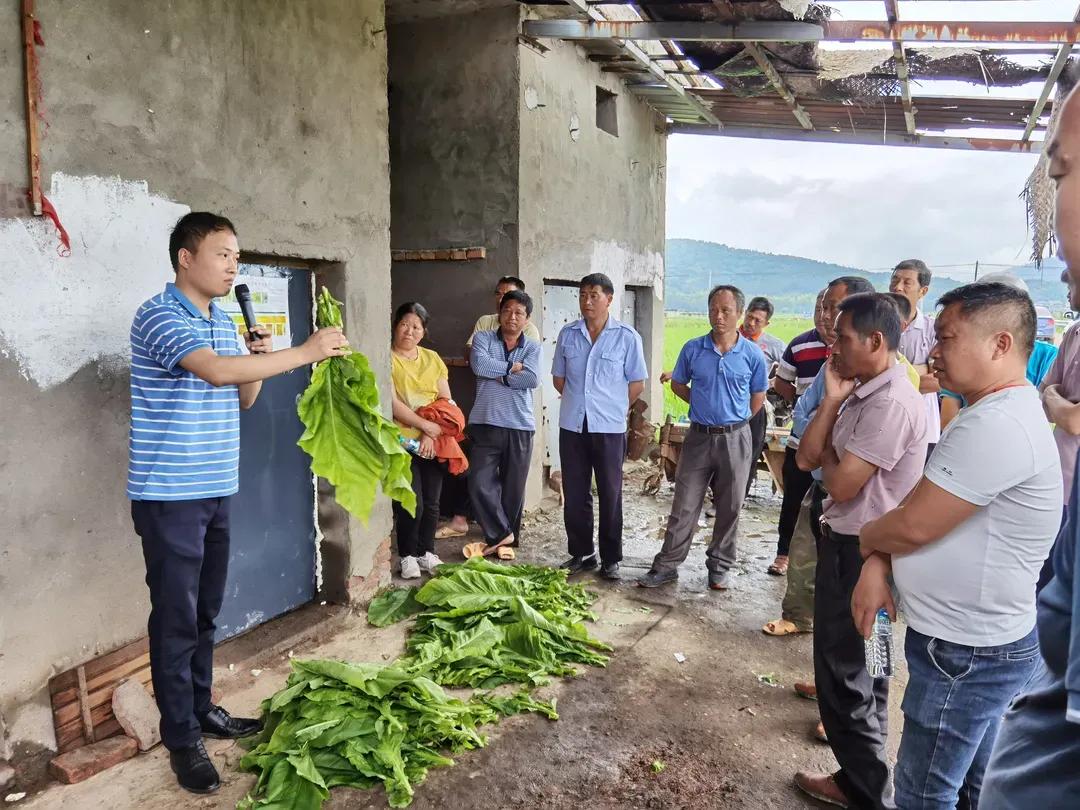 出彩农大人丨植沃土献青春的“农大学子”