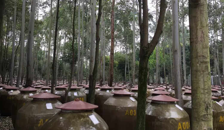 从原酒基地到酒庄集群，邛酒未来可期