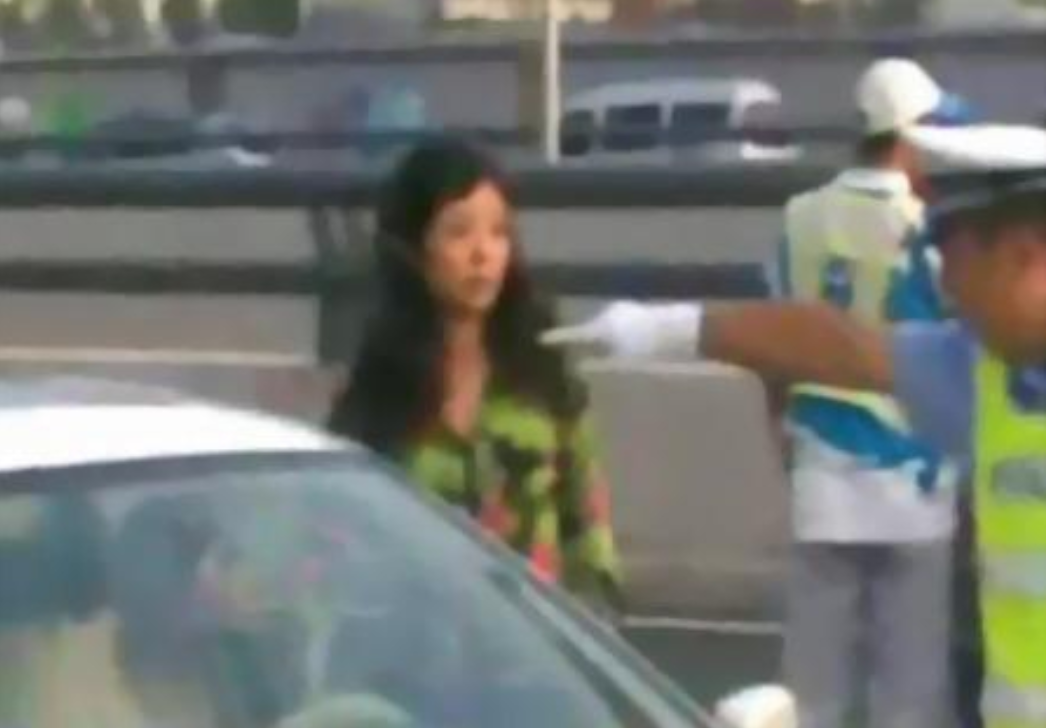 李丹阳：25岁成名，参加14次春晚，有孝心爱唱歌热衷公益的歌唱家