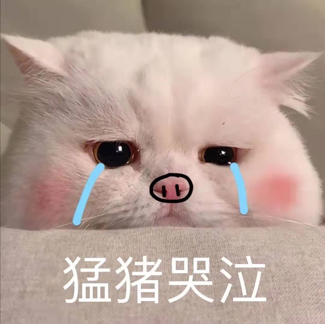小猫经常流泪的原因及处理方法