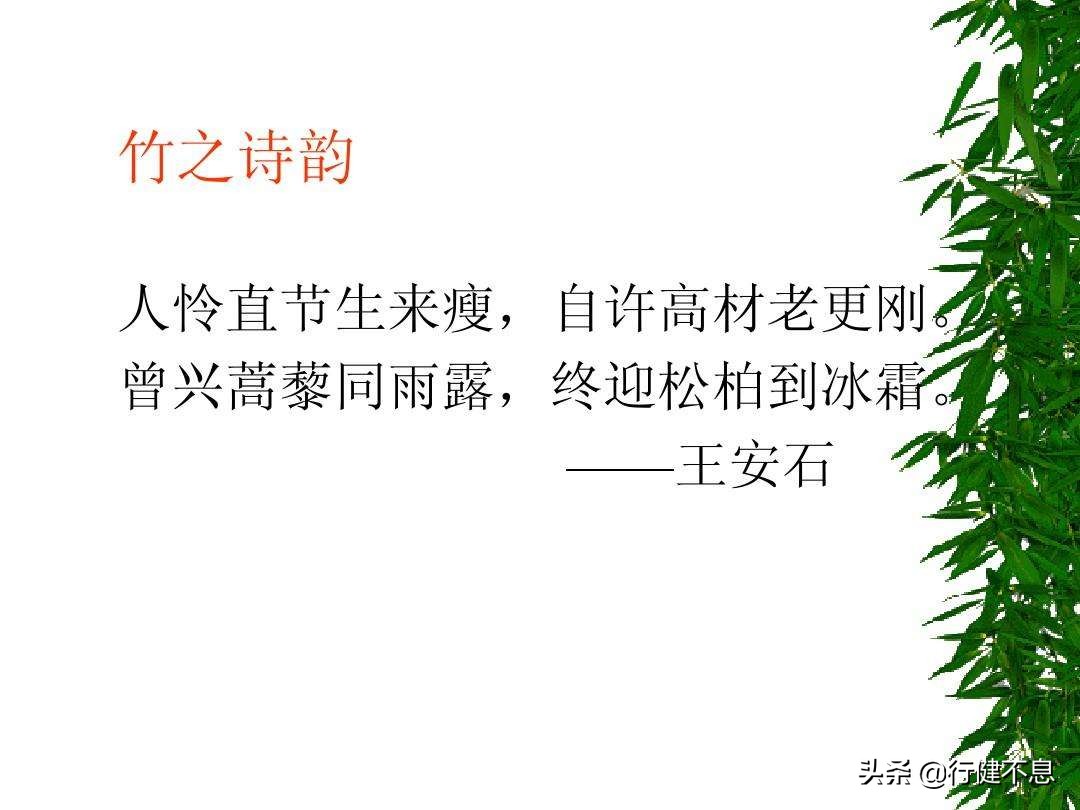 竹解心虚即我师:十二首著名的诗词,展现大诗人们的翠竹情怀