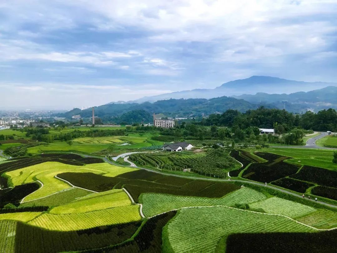 自然与经济的共生：乡村振兴可持续发展之路