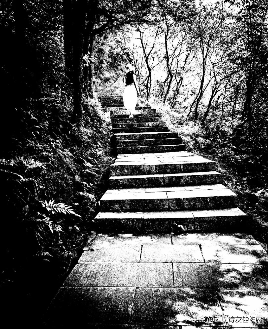 「特别推荐」林丫头：《侧身集》辛丑存稿