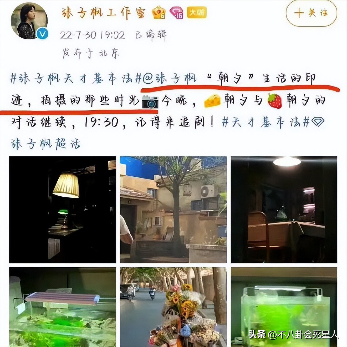 还是演戏啊.搞的好假啊.(假文艺、装读书、好男人，戴着“面具”演戏的明星，都翻车了)