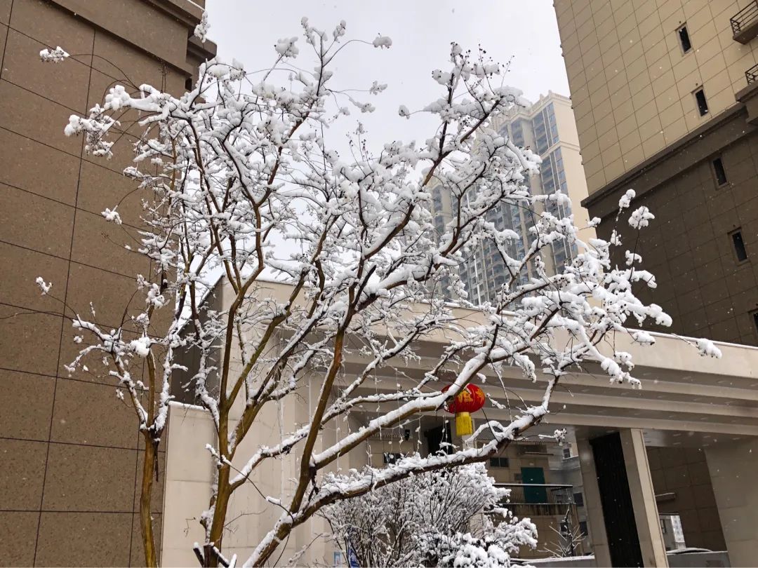 一场大雪一场欢，打雪仗、堆雪人，像小孩子一样激动兴奋