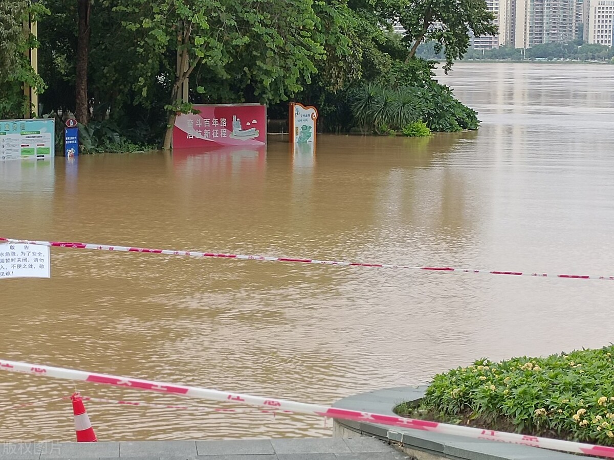 珠江流域升级红色预警，城市“看海”大树拦腰淹没