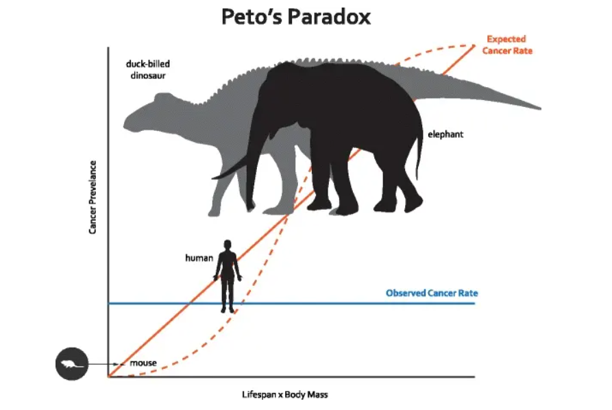 ��Ϊ���˵İ��أ������������17��Ⱦɫ���У��ܷ�򿪻�������