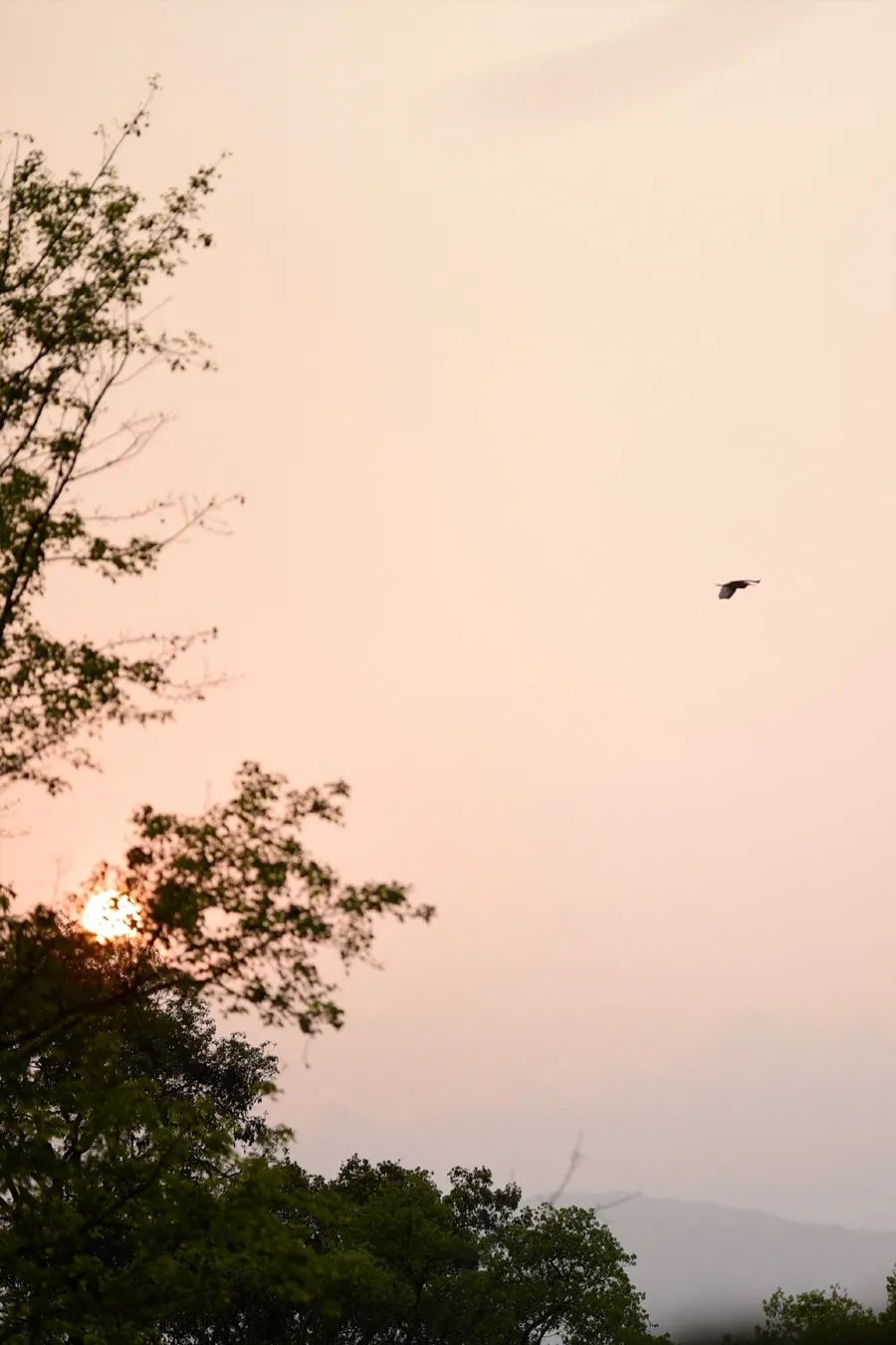 人生过半，不如痛快一点