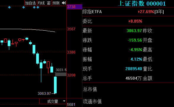 股市迎来_黑色星期二!_沪指下跌4.95%，恒生指数大跌逾7%……跌出了机会_