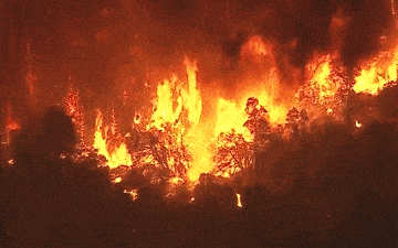 йɳĮɭֿ֣ȴ67%ȵĸԴҵˣ