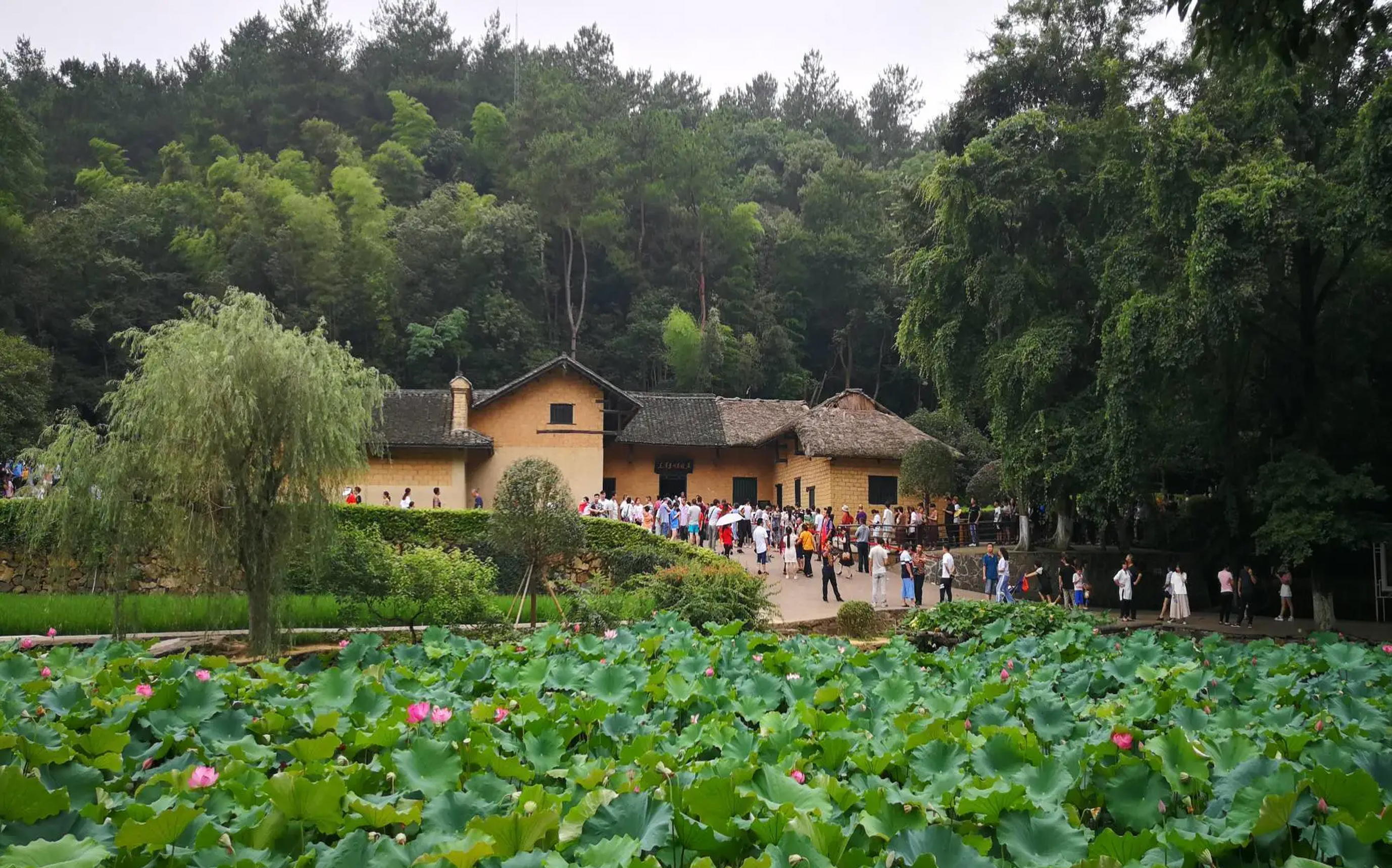 盘点湖南最美的十大景点，张家界凤凰古城上榜，你去过哪几个？