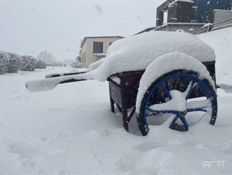入春失败！内蒙古赤峰迎暴雪