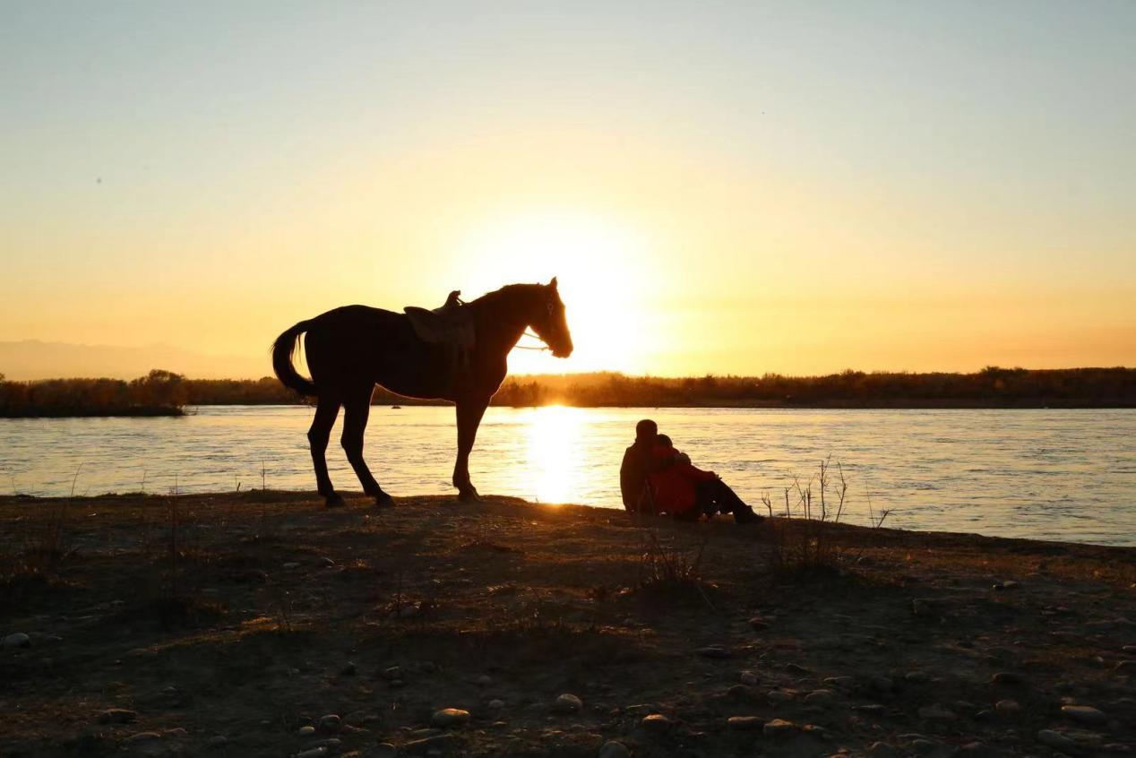 改编自报告文学的《杰米拉》挥出了两记现实主义重拳
