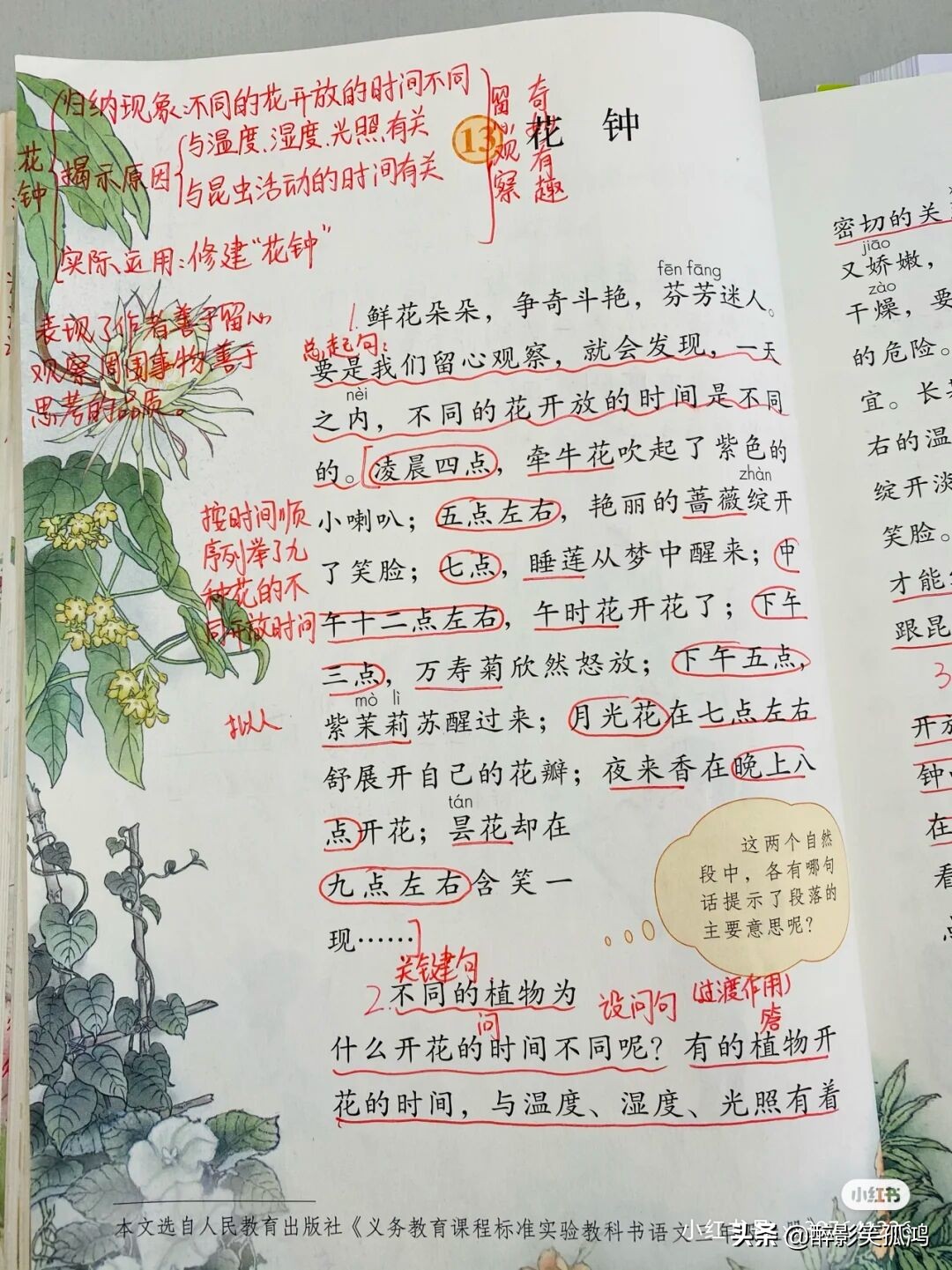 三年级语文下册第4单元课堂笔记，详细整理课文知识点