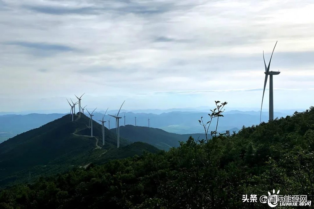 2.348GW风电项目密集开标！招投标市场·周观（12月第1周）