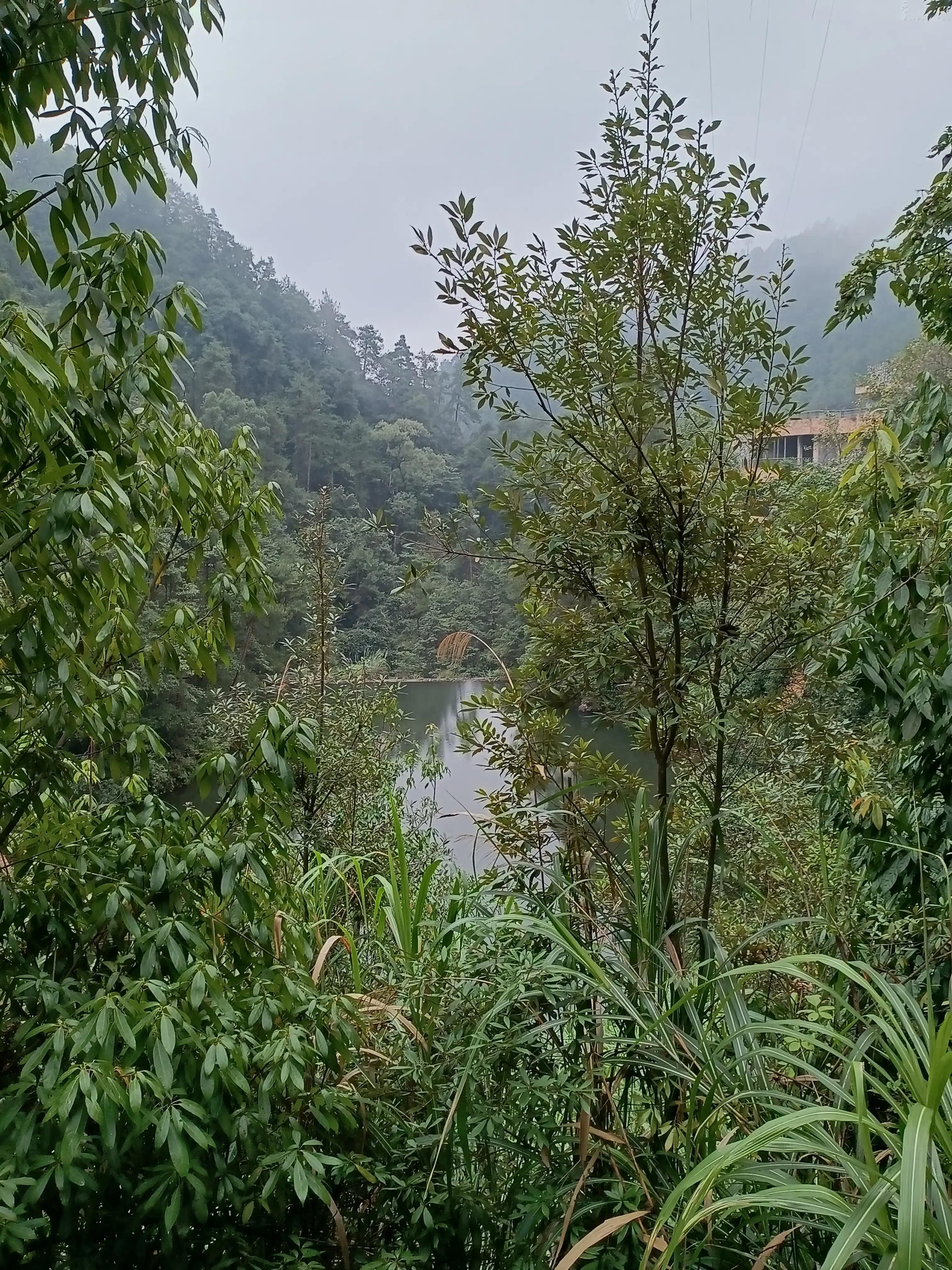 行到水穷处，坐看云起时一一雨游白云山