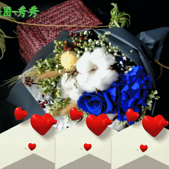 2022适合睡前群发晚上好问候动画表情包 晚安祝福语图片带字温馨