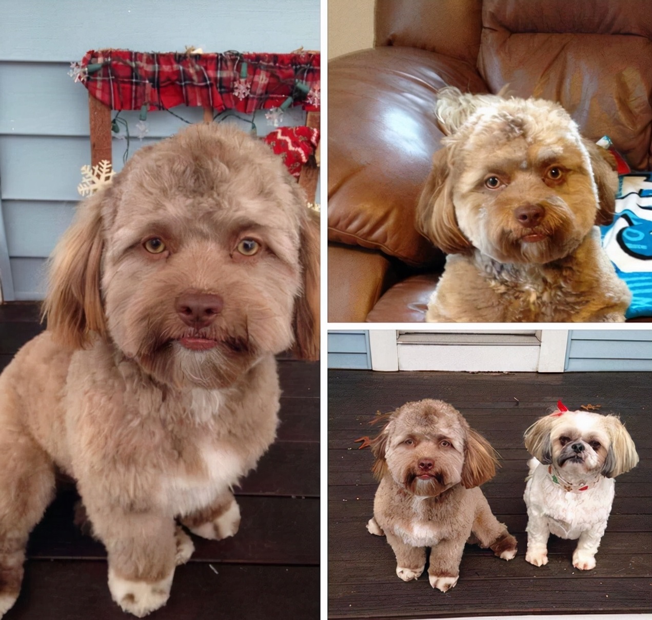 30张图看世界：越南女兵宿舍内叠被子，朝鲜阅兵的女兵方阵