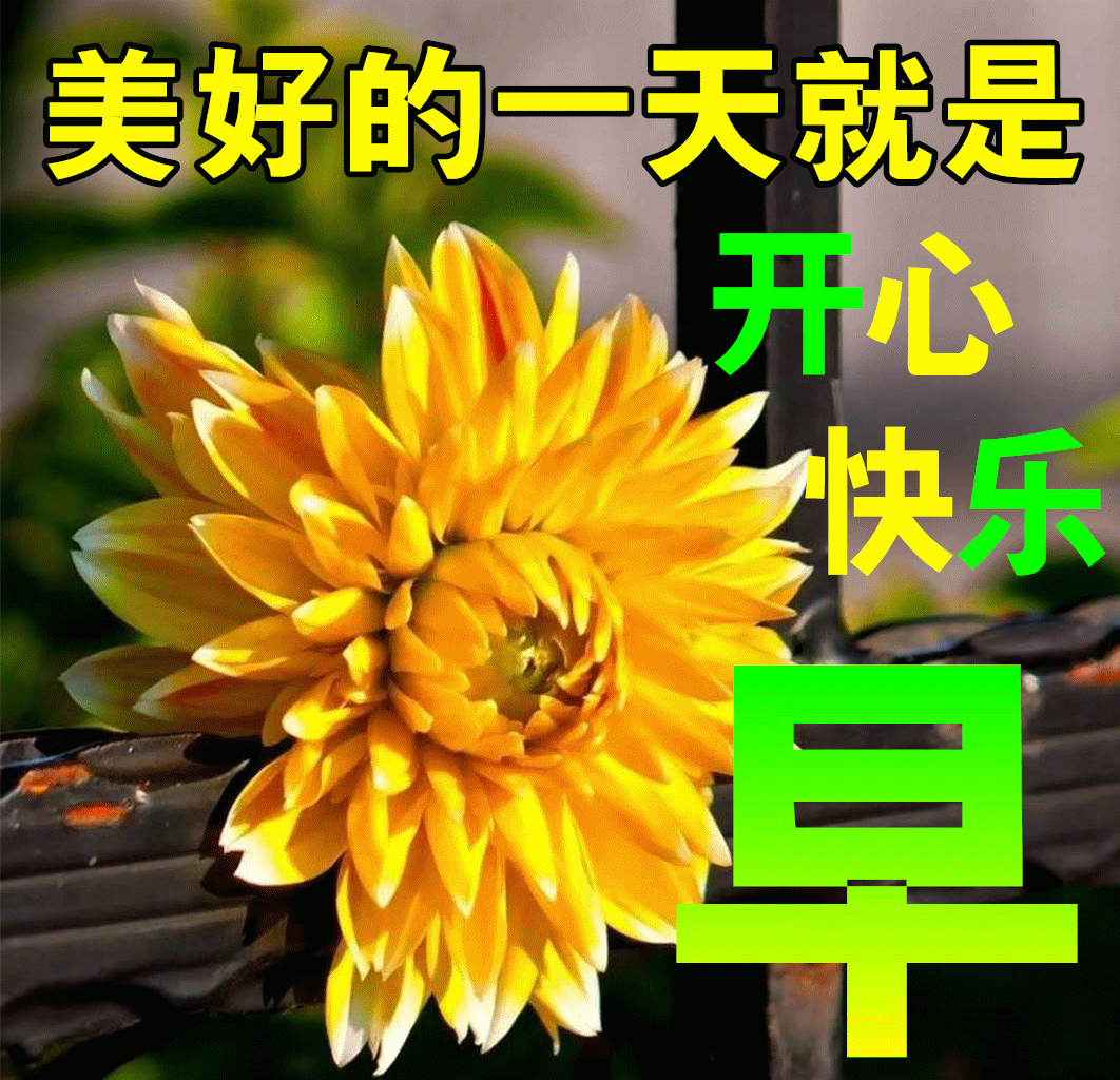 6月23日夏日清晨最新早上好问候表情语录 2022早上好图片动态表情