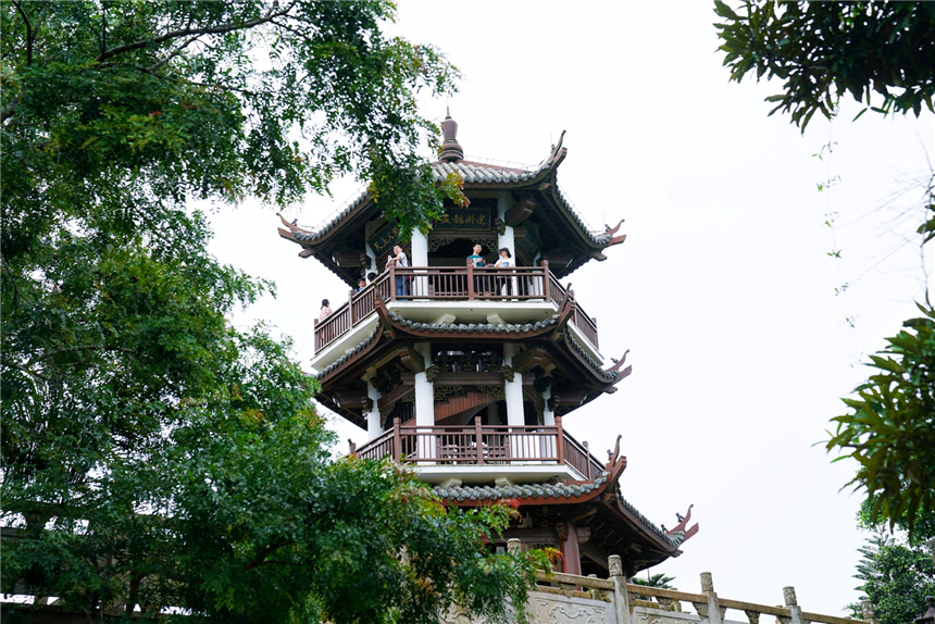 自驾海南，探寻雨林秘境，黎族村落到茶园深处，4天3晚游玩全攻略