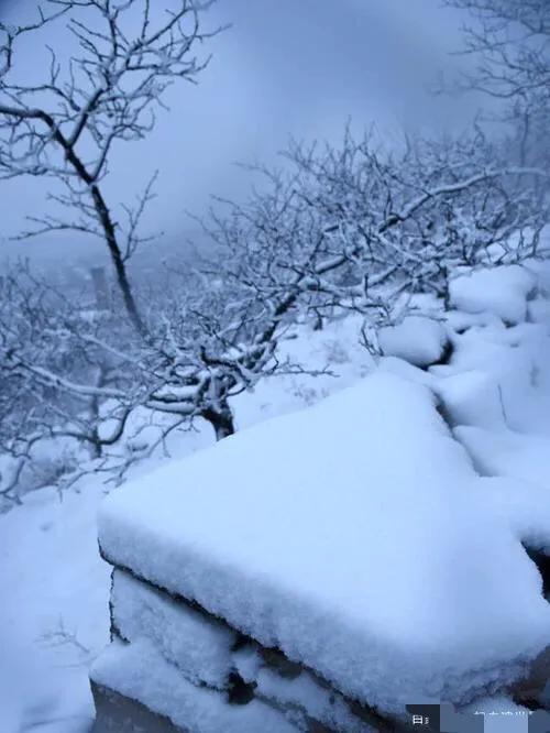 鹤城大萧侃东北（48）——东北方言「冰天雪地篇」