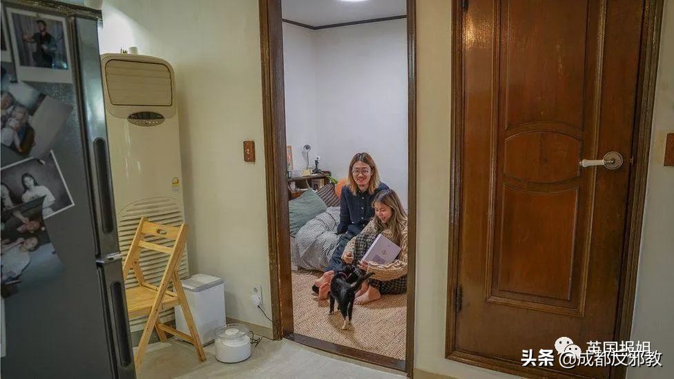 阴冷潮湿、蟑螂乱窜，住在半地下室是很多韩国人的真实日常