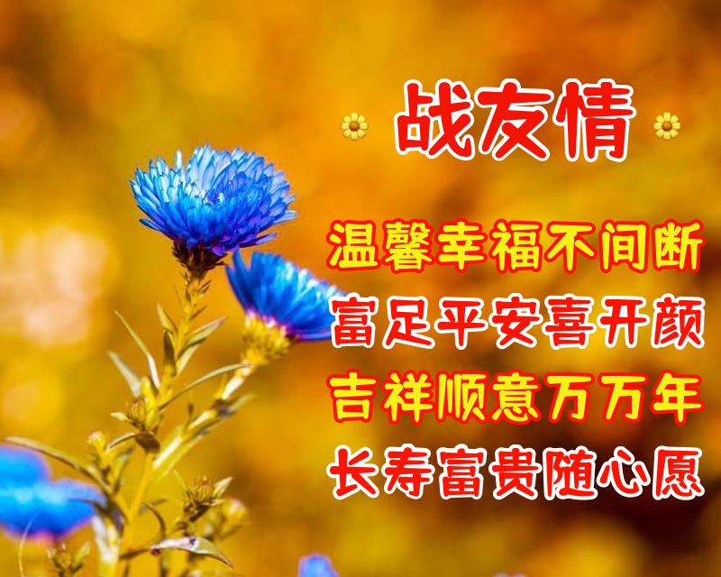 表达战友情深的八个字（送给老战友的温馨祝福语）