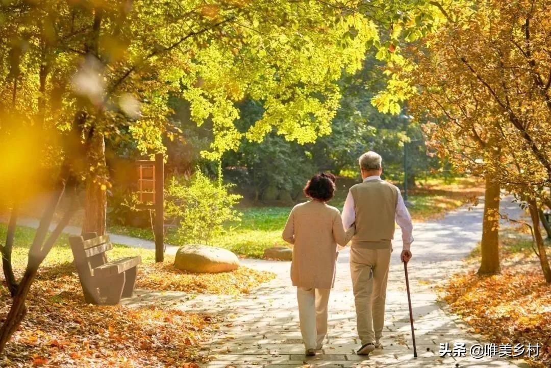 2022年起，保持1000万增速的老年人口，催生田园旅居式养老崛起？
