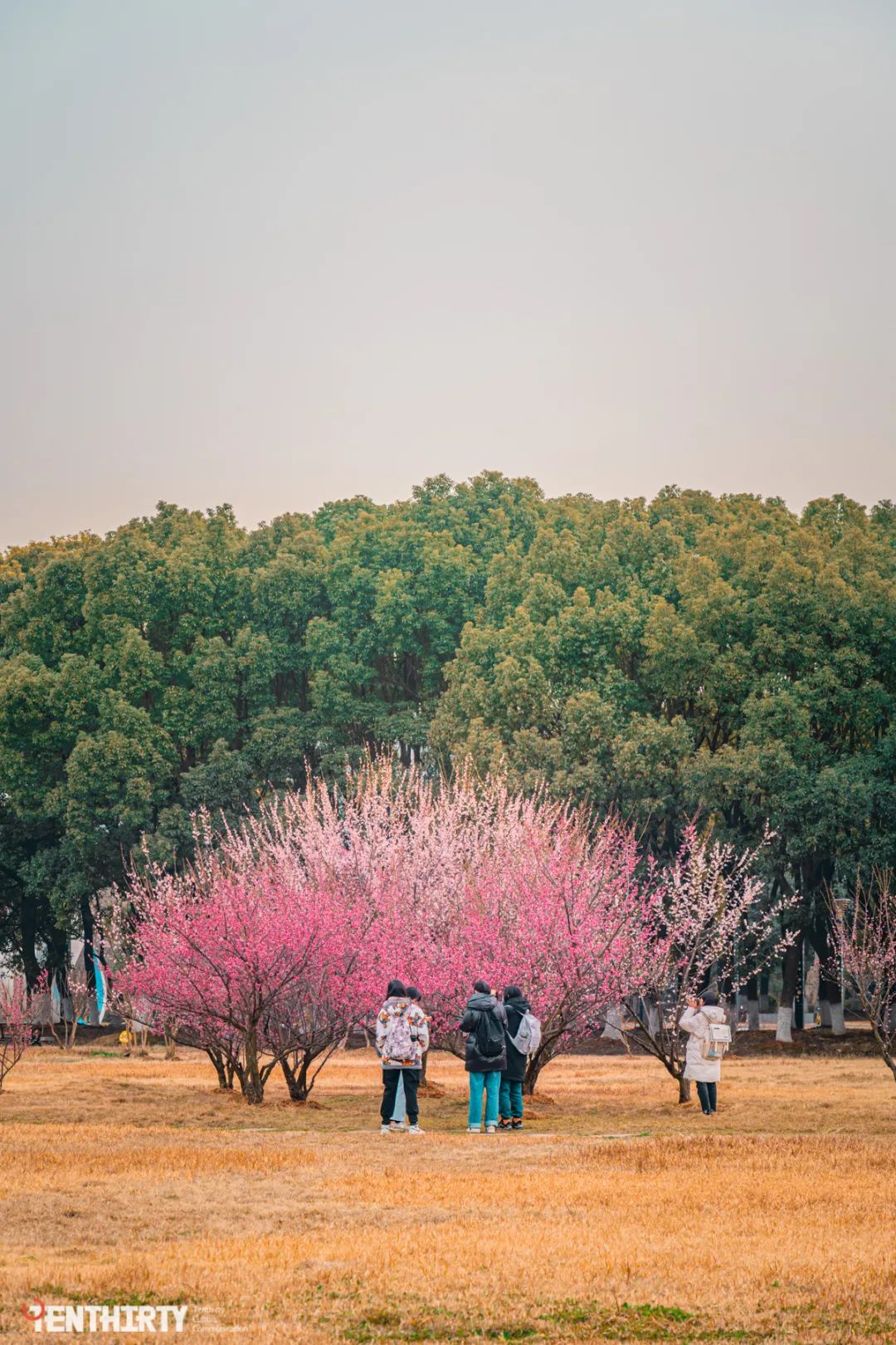 足球场地有真草吗(三角湖畔，有一所女足“黄埔军校”)