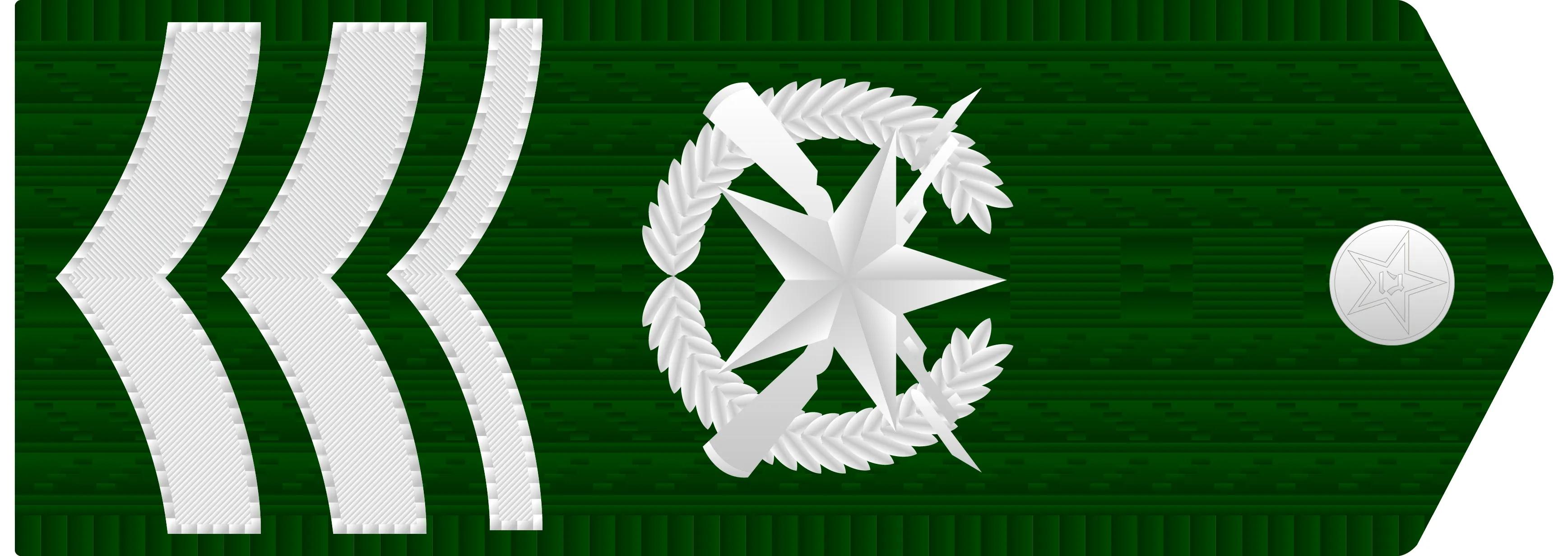 军衔等级肩章排列图片 中国警衔等级肩章排列图片-北京百科网