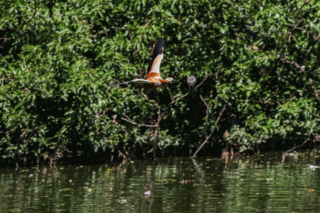 佳能EOS R7评测：全能的便携微单相机