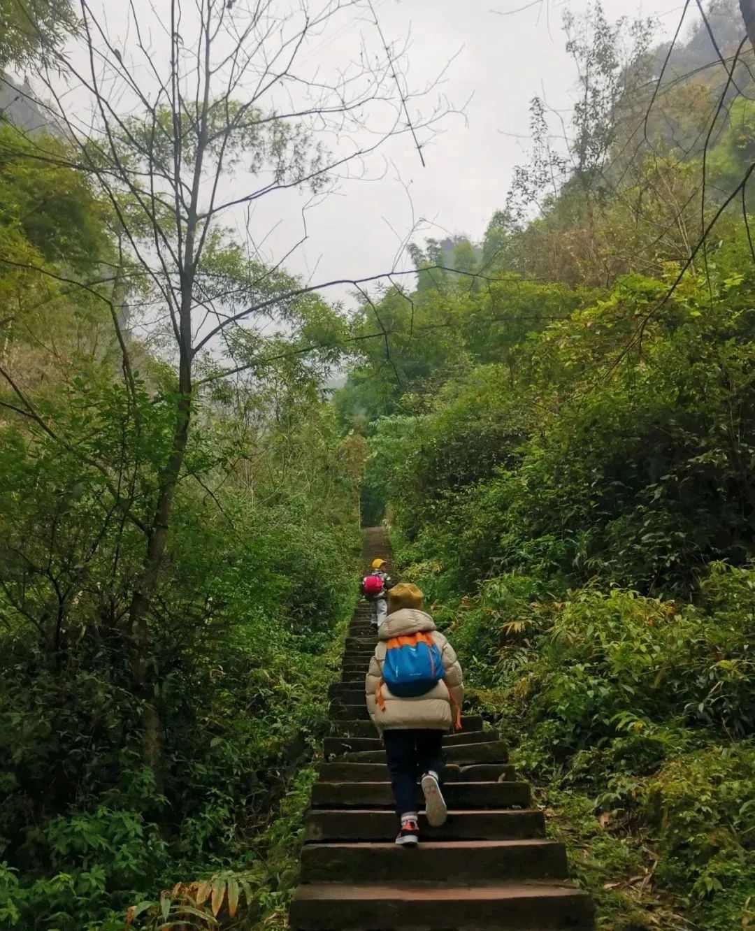 成都周边山区旅游(1.5h就到！去这个小众地爬山吸氧、看山间石刻佛像、吃生态美食)