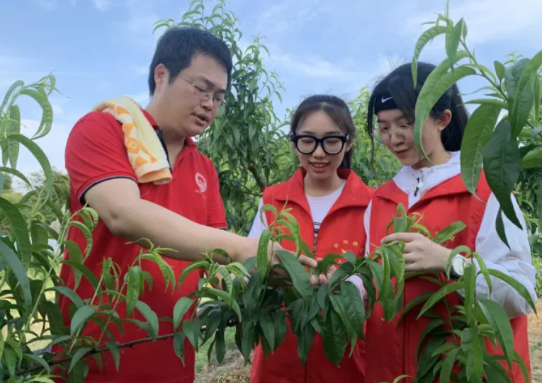 “生化环材”不算什么，新“四大天坑”专业来袭，学生报考需谨慎