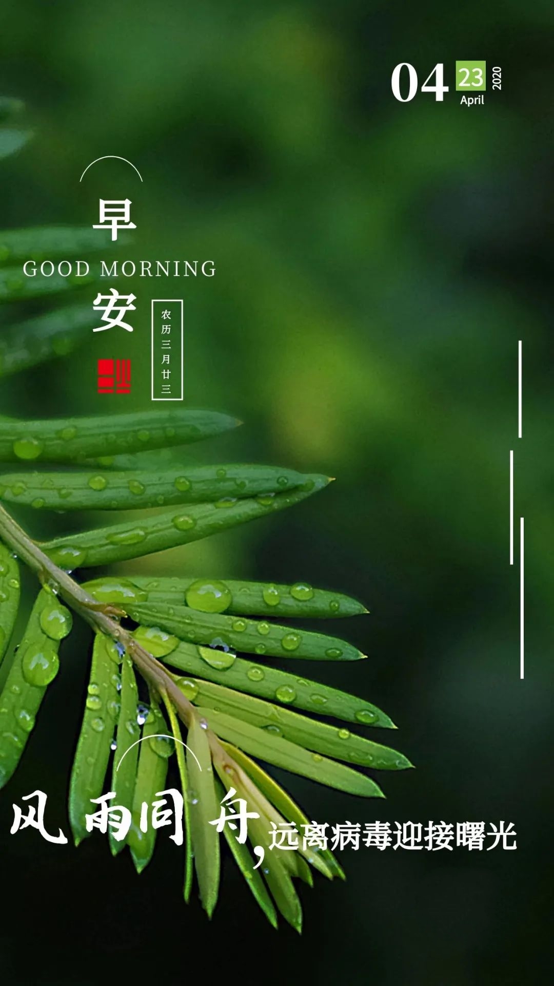 04.23」早安心语,世界读书日努力奋斗句子 早上好问候图片