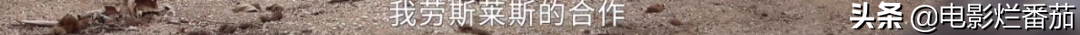 从豆瓣女神到炫富名媛，她只用了12年，终因一句“恶口”引发众怒