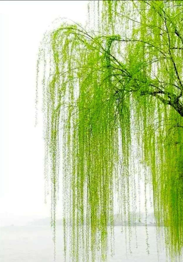 云低秋雨洒,叶落冽冬临.长路无人走,桥横水自清.