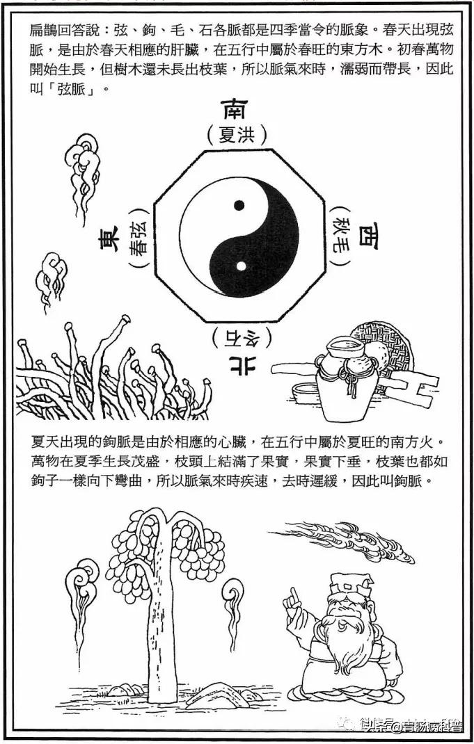 《漫画版八十一难经》第十五难：何谓春弦、夏钩、秋毛、冬石？