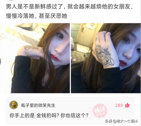 搞笑神回复：你想吃猪骨头补钙，万万没想到猪本身也缺钙