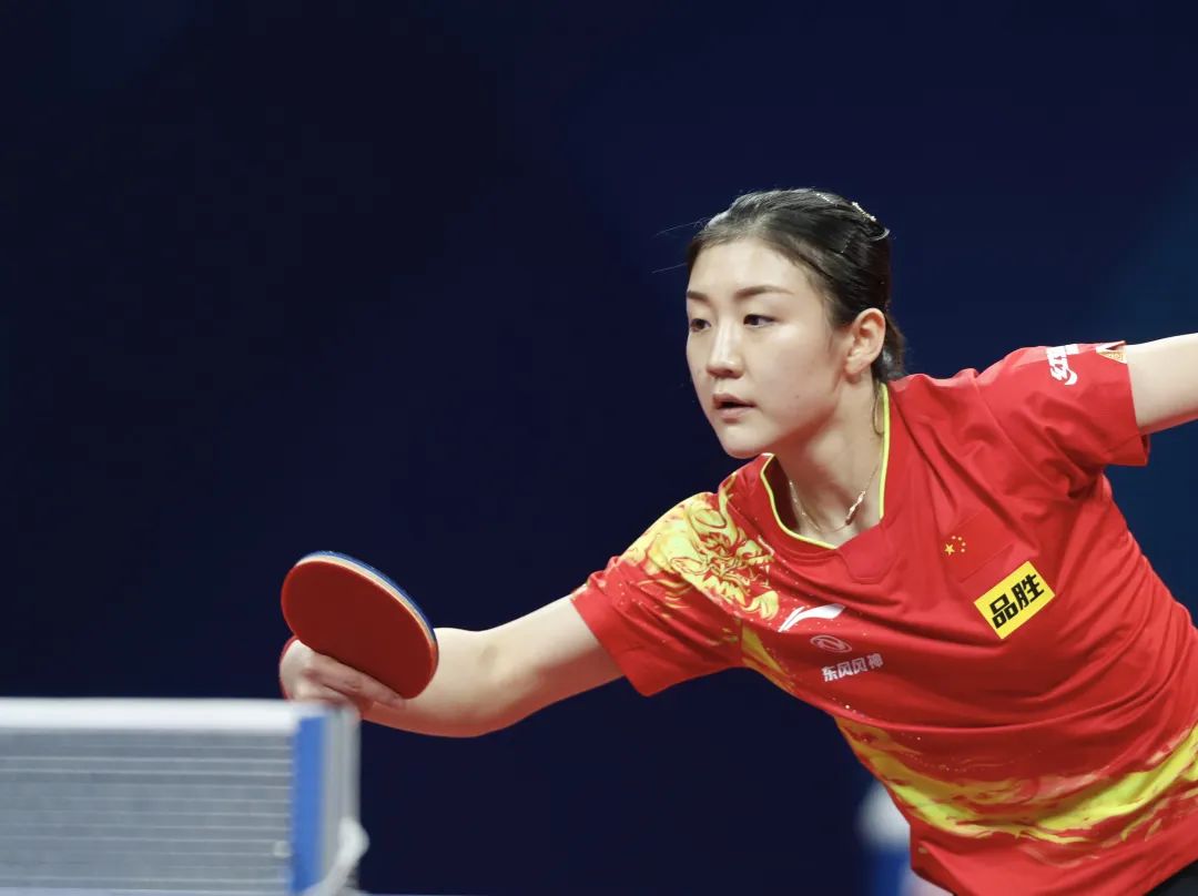 王楚钦张本智和比赛视频全（重温樊振东王楚钦VS张本智和！CCTV5 CCTV5+ CCTV奥林匹克全程回放）